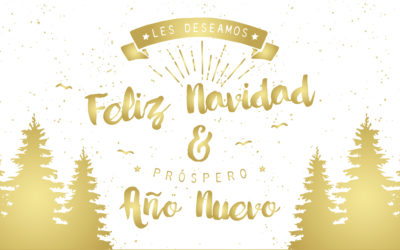 2016, un trabajo en progreso